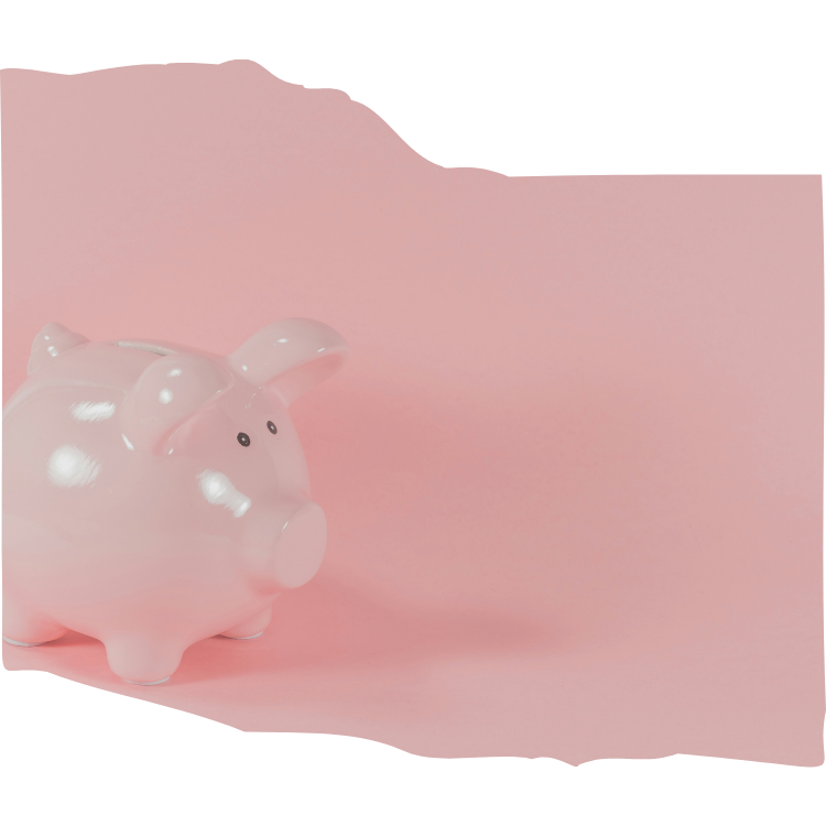 piggybank on pink background